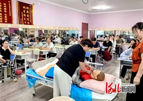 石家莊市橋西區 抓實技能培訓，賦能職工就業——市場調查服務助力就業新路徑